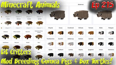 Lil Critters Mod Breeding Guinea Pigs And Turtles A Zawa Mod Addon