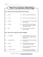 Plant Parts And Processes Vocabulary Matching Course Hero