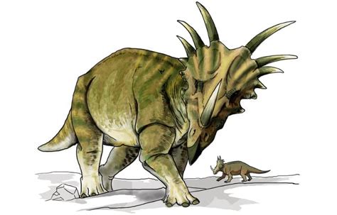 Styracosaurus | A Spiked Dinosaur from the Late Cretaceous