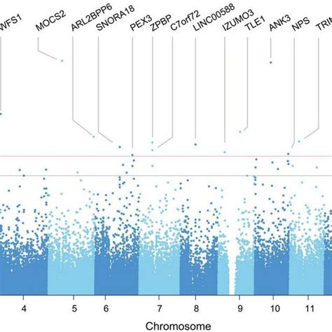 Manhattan Plot Of Gwas Identified In The Entire Genome For Vascular