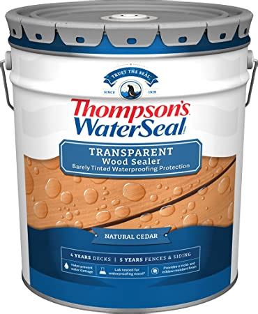 Thompsons WaterSeal Transparent Waterproofing Wood Stain And Sealer