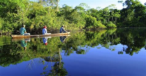 From Iquitos Day Tour Pacaya Samiria National Reserve Getyourguide