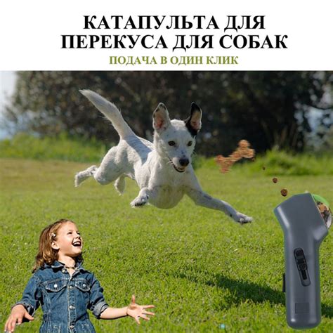 Катапульта для корма для собак - купить с доставкой по выгодным ценам в ...