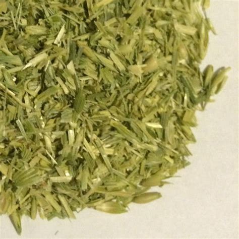 1 Oz Oatstraw Cs Avena Sativa Organic And Kosher Usa Etsy