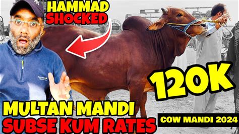 Lahore Vs Multan Cow Mandi Bakra Eid Rate Multan Men Kum Mila