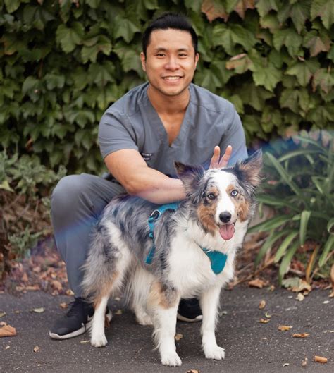 Dr Richard – Johnson St Veterinary Clinic