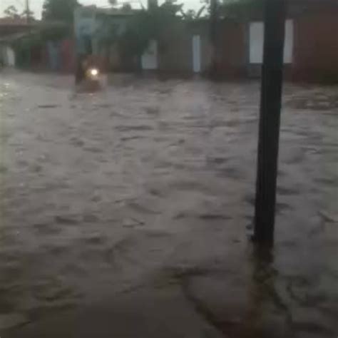 Chuva R Pida Causa Alagamentos Em Ruas E Queda De Rvore Em Imperatriz