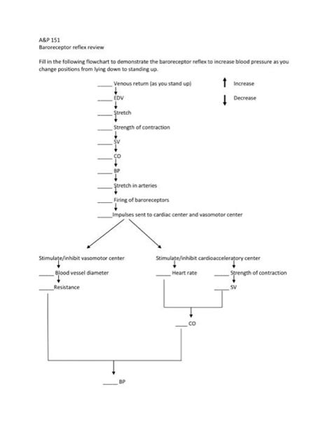 Baroreceptor Reflex Flowchart