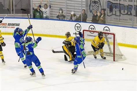 New pro women’s hockey league to launch in January - Red Deer Advocate