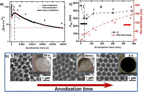 Fabrication Of Self Ordered Alumina Films With Large Interpore Distance By Janus Anodization In