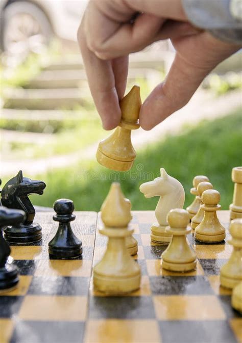 White Bishop Chess Stock Photo Image Of Intelligence 12942940