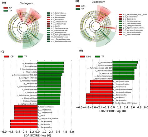 Protective Effect Of Lactobacillus Salivarius Li01 On Thioacetamide