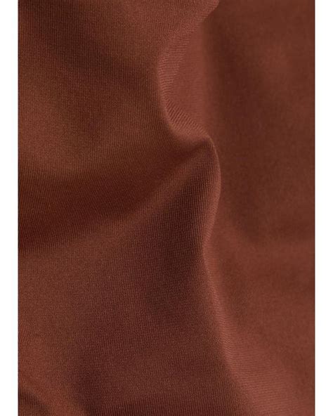 Max Mara Selina Bikini Briefs In Brown Lyst UK