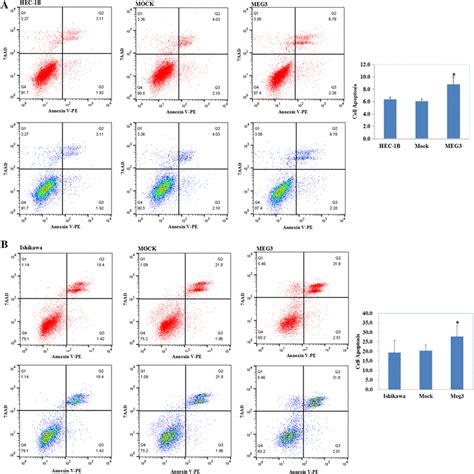 Meg3 Overexpression Induces The Apoptosis Of Endometrial Carcinoma