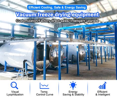 Vacuum Freeze Fruit And Vegetable Lyophilizer Dried Drying Machine