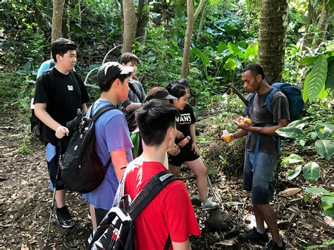 Fiji - Insight Global Education