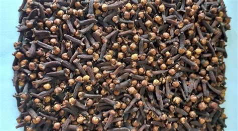 Kerala Idukki Clove Natural Cloves Whole Packaging Size Kg At Rs