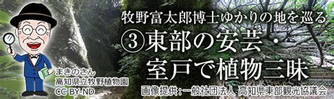 ＜牧野富太郎博士ゆかりの地を巡る＞生誕の地佐川町と高知中央部1泊2日｜高知ツアー・高知旅行のビーウェーブ