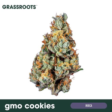 Buy Gmo Cookies Whole Flower Online Curaleaf Bellmawr Bellmawr