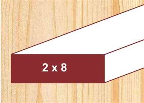 actual size  dimensions  wide