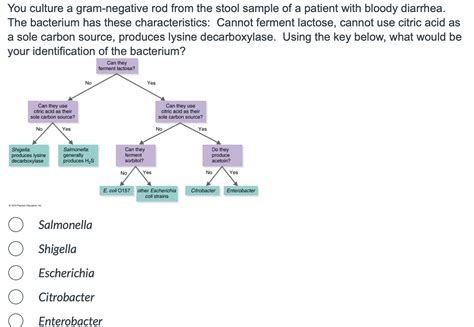 Solved Which of the following is mismatched? Fungi - | Chegg.com 