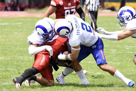 Borregos Monterrey Vs Guilas Blancas Ipn Fotos Onefa