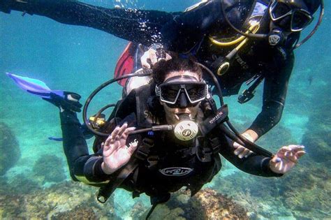 Angra Dos Reis Diving Ikigai Experience