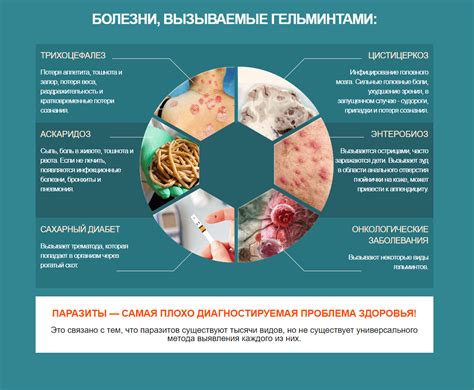 Лекарство Клинистил от паразитов - инструкция по применению, реальные ...