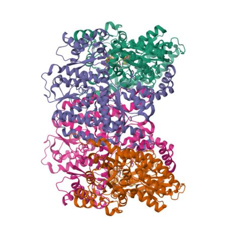 Rcsb Pdb Dby Cryoem Structure Of Anaerobically Prepared Nitrogenase