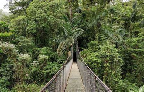 Hanging Bridges Mistico Park La Fortuna Waterfall In La Fortuna All