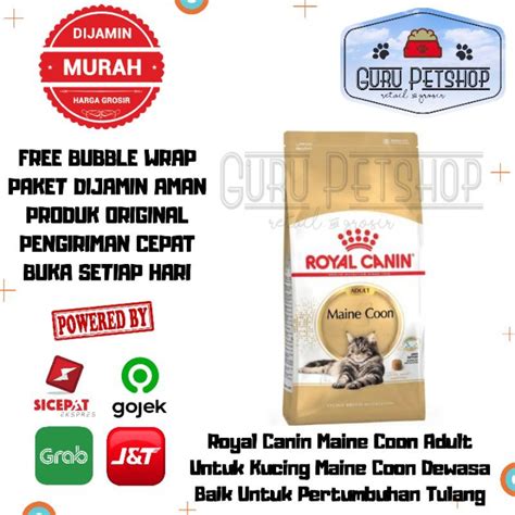 Jual Royal Canin Adult Maine Coon Kg Catfood Kering Mainecoon Dewasa