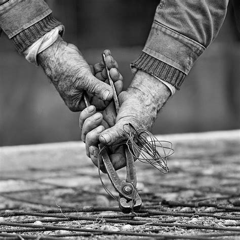 Working Hands Working Hands Hands Show Of Hands