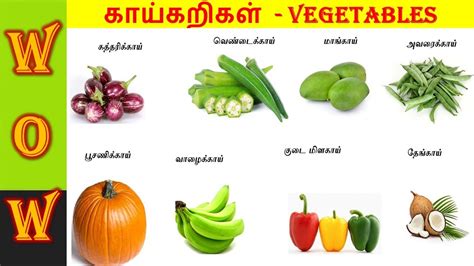 All Fruits Name In English And Tamil With Images