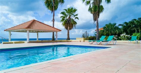 Palm Trees by Swimming Pool in Hotel · Free Stock Photo