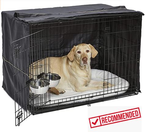 Crate rest for IVDD dogs - THESE DOG DAYS