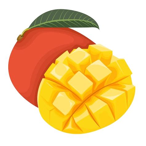 Premium Vector Mango Fruits Illustration