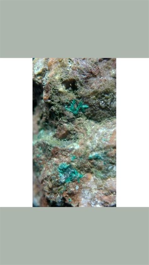 Sample of acicular, prismatic and acicular crystals of fibrous ...