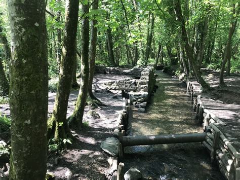 Old Otter Trap Paul Barnett Cc By Sa Geograph Britain And Ireland