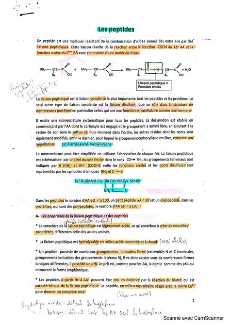 Solution Biochimie Structurale Les Peptides Studypool