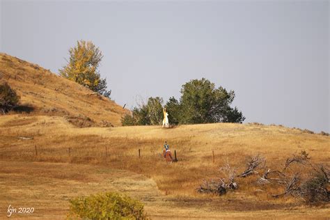 The Outskirts of Suburbia: Fort Phil Kearny and the Fetterman and Wagon ...