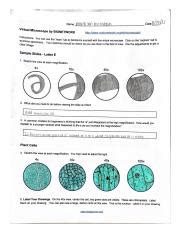 Virtual Microscope By Bionetwork Pdf Course Hero