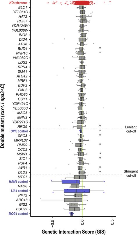 Boxplot Of Genetic Interaction Score GIS Values For Each Xxx Npa3C