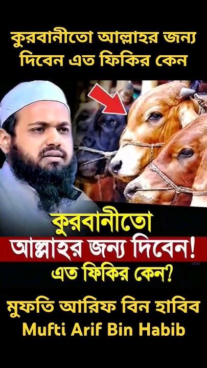 কুরবানীতো আল্লাহর জন্য দিবেন এত ফিকির কেন‼️ Mufti Arif Bin Habib