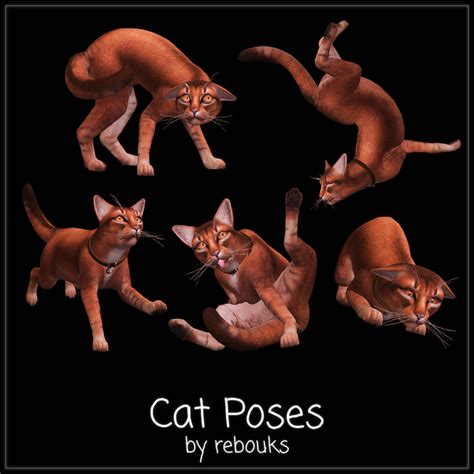 Cat Poses Rebouks In 2024 Cat Pose Cat Halloween Costume Poses