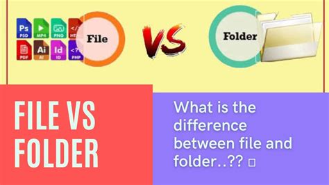 What Is The Difference Between File And Folder Top Sellers