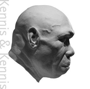 Resin Heads Kennis Kennis Reconstructions