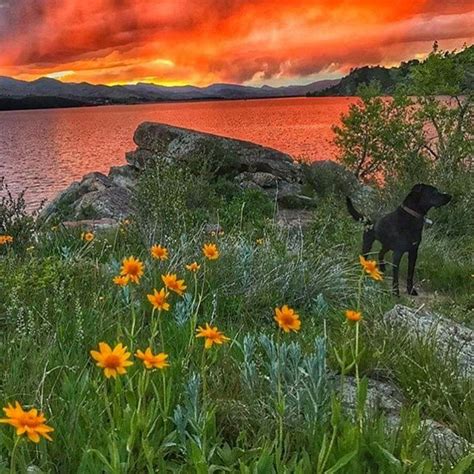 Horsetooth Reservoir | Beautiful nature, Nature, Amazing nature