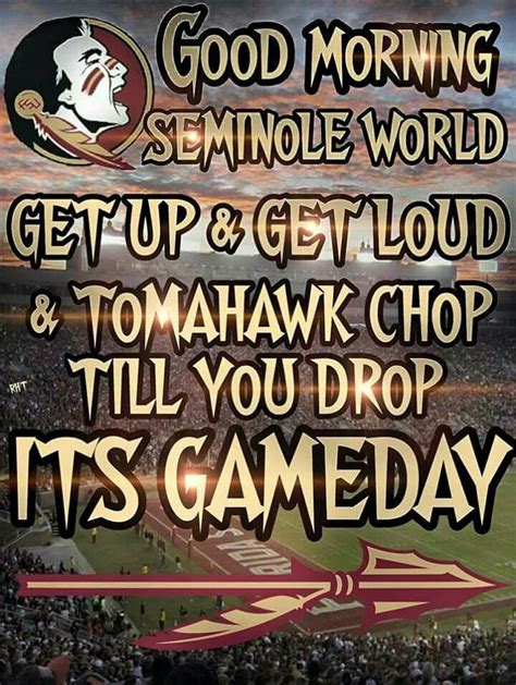 17 Best images about FSU on Pinterest | Colleges, Football and Garnet ...