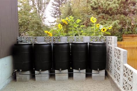 Diy Rain Barrel System The Complete Guide