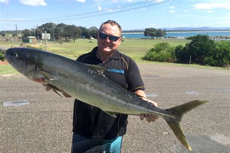 Photo Gallery Narrabeen Bait And Tackle Narrabeen Bait Tackle